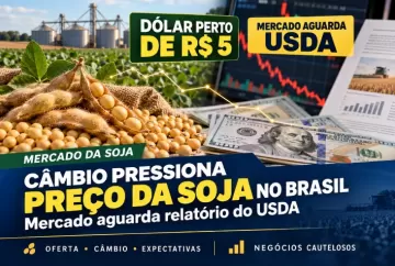 Dólar perto de R$ 5 pressiona preço da soja no Brasil e mercado aguarda relatório do USDA
