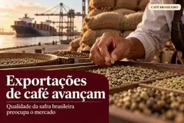 Exportações de café do Brasil avançam, mas qualidade da safra preocupa o mercado