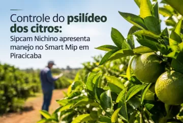 Controle do psilídeo dos citros: Sipcam Nichino apresenta manejo no Smart Mip em Piracicaba