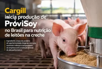 Cargill inicia produção de ProviSoy no Brasil para nutrição de leitões na creche