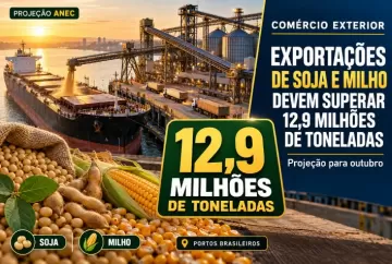 Exportações de soja e milho devem superar 12,9 milhões de toneladas em outubro, projeta ANEC