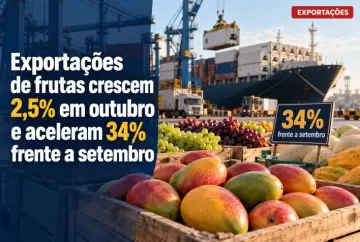 Exportações de frutas crescem 2,5% em outubro e aceleram 34% frente a setembro