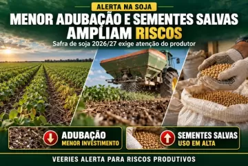 Safra de soja 2026/27: menor adubação e avanço de sementes salvas ampliam riscos, aponta Veeries