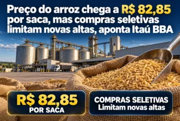 Preço do arroz chega a R$ 82,85 por saca, mas compras seletivas limitam novas altas, aponta Itaú BBA