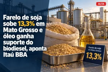 Farelo de soja sobe 13,3% em Mato Grosso e óleo ganha suporte do biodiesel, aponta Itaú BBA