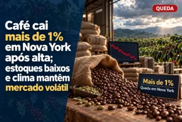 Café cai mais de 1% em Nova York após alta; estoques baixos e clima mantêm mercado volátil