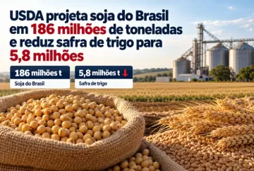 USDA projeta soja do Brasil em 186 milhões de toneladas e reduz safra de trigo para 5,8 milhões