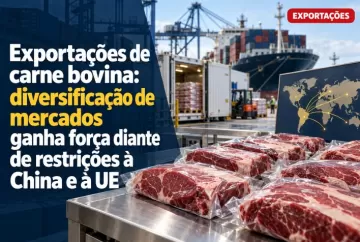 Exportações de carne bovina: diversificação de mercados ganha força diante de restrições à China e à UE