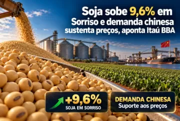 Soja sobe 9,6% em Sorriso e demanda chinesa sustenta preços, aponta Itaú BBA