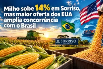 Milho sobe 14% em Sorriso, mas maior oferta dos EUA amplia concorrência com o Brasil