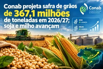 Conab projeta safra de grãos de 367,1 milhões de toneladas em 2026/27; soja e milho avançam