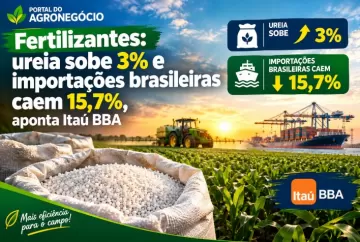 Fertilizantes: ureia sobe 3% e importações brasileiras caem 15,7%, aponta Itaú BBA