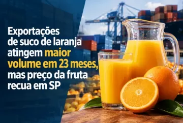 Exportações de suco de laranja atingem maior volume em 23 meses, mas preço da fruta recua em SP