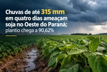 Chuvas de até 315 mm em quatro dias ameaçam soja no Oeste do Paraná; plantio chega a 90,62%