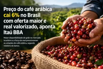 Preço do café arábica cai 6% no Brasil com oferta maior e real valorizado, aponta Itaú BBA
