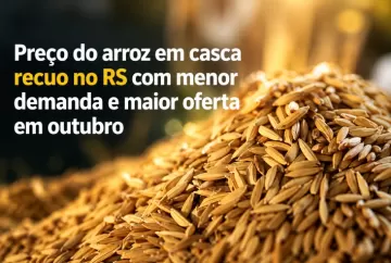 Preço do arroz em casca recua no Rio Grande do Sul com menor demanda e maior oferta em outubro