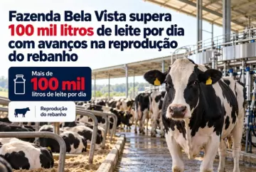 Fazenda Bela Vista supera 100 mil litros de leite por dia com avanços na reprodução do rebanho