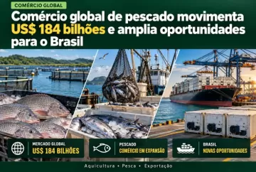 Comércio global de pescado movimenta US$ 184 bilhões e amplia oportunidades para o Brasil