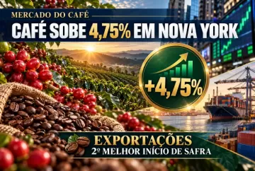 Café sobe 4,75% em Nova York; exportações têm segundo melhor início de safra
