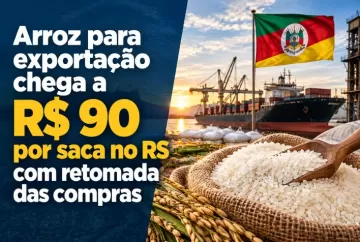 Arroz para exportação chega a R$ 90 por saca no RS com retomada das compras
