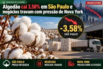 Algodão cai 3,58% em São Paulo e negócios travam com pressão de Nova York