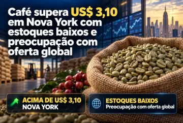Café supera US$ 3,10 em Nova York com estoques baixos e preocupação com oferta global