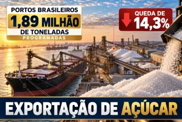 Exportação de açúcar: portos têm 1,89 milhão de toneladas programadas, queda de 14,3%