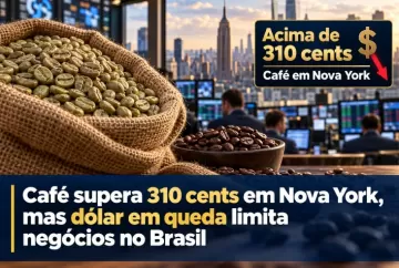 Café supera 310 cents em Nova York, mas dólar em queda limita negócios no Brasil