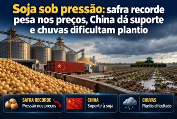 Soja sob pressão: safra recorde pesa nos preços, China dá suporte e chuvas dificultam plantio