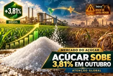 Açúcar sobe 3,81% em outubro no Brasil; risco de safra menor na Índia sustenta atenção global