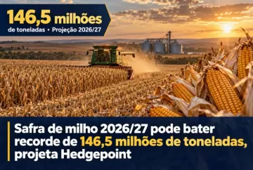 Safra de milho 2026/27 pode bater recorde de 146,5 milhões de toneladas, projeta Hedgepoint