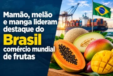Mamão, melão e manga lideram destaque do Brasil no comércio mundial de frutas