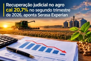 Recuperação judicial no agro cai 20,7% no segundo trimestre de 2026, aponta Serasa Experian