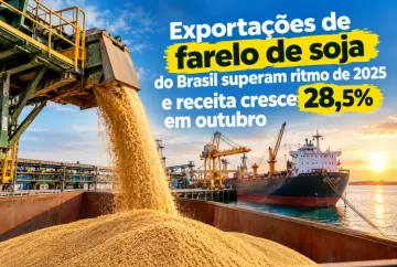 Exportações de farelo de soja do Brasil superam ritmo de 2025 e receita cresce 28,5% em outubro