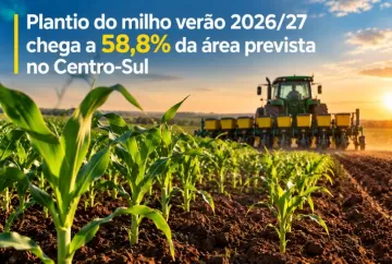 Plantio do milho verão 2026/27 chega a 58,8% da área prevista no Centro-Sul