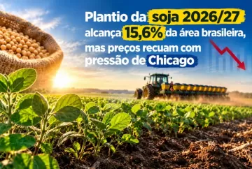 Plantio da soja 2026/27 alcança 15,6% da área brasileira, mas preços recuam com pressão de Chicago