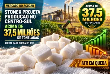 StoneX projeta açúcar acima de 37,5 milhões de toneladas no Centro-Sul, mas alerta para queda do ATR