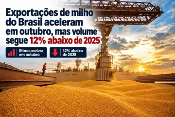 Exportações de milho do Brasil aceleram em outubro, mas volume segue 12% abaixo de 2025