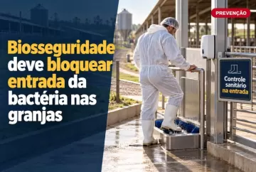Biosseguridade deve bloquear entrada da bactéria nas granjas