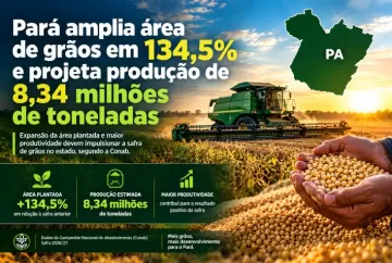 Pará amplia área de grãos em 134,5% e projeta produção de 8,34 milhões de toneladas