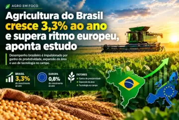 Agricultura do Brasil cresce 3,3% ao ano e supera ritmo europeu, aponta estudo