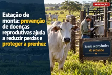 Estação de monta: prevenção de doenças reprodutivas ajuda a reduzir perdas e proteger a prenhez