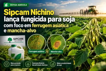 Sipcam Nichino lança fungicida para soja com foco em ferrugem asiática e mancha-alvo