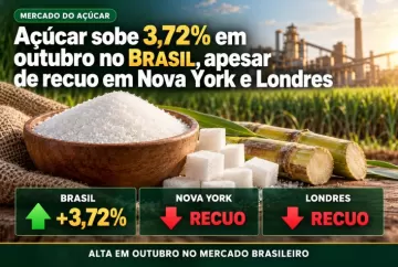 Açúcar sobe 3,72% em outubro no Brasil, apesar de recuo em Nova York e Londres