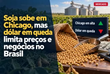 Soja sobe em Chicago, mas dólar em queda limita preços e negócios no Brasil
