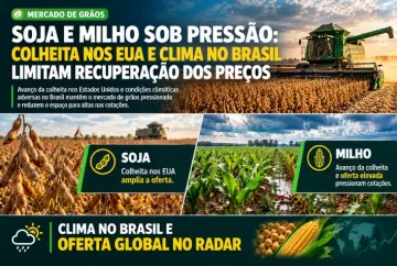 Soja e milho sob pressão: colheita nos EUA e clima no Brasil limitam recuperação dos preços