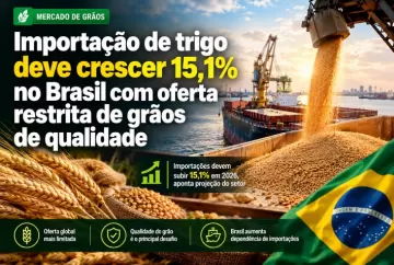Importação de trigo deve crescer 15,1% no Brasil com oferta restrita de grãos de qualidade