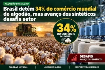 Brasil detém 34% do comércio mundial de algodão, mas avanço dos sintéticos desafia setor