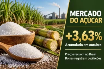 Preço do açúcar oscila nas bolsas e recua no Brasil, mas acumula alta de 3,63% em outubro