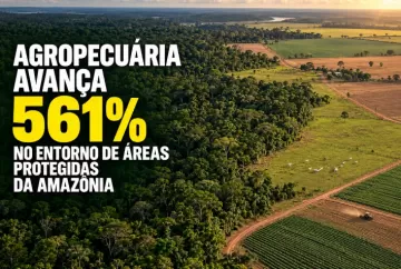 Agropecuária avança 561% no entorno de áreas protegidas da Amazônia, aponta MapBiomas